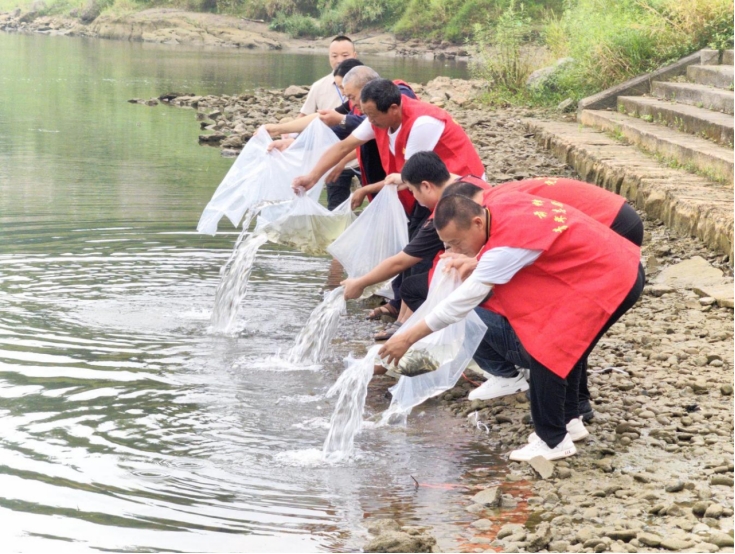 前锋区：增殖放流助力渠江水域生态修复