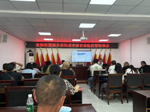 奎阁街道开展城乡居民基本养老保险政策培训会