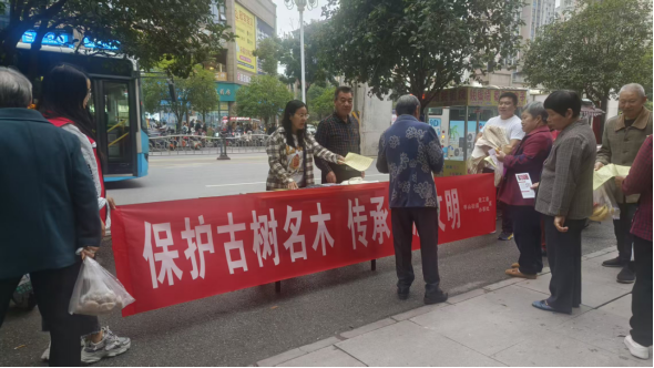 枣山街道开展2025年度古树名木保护宣传