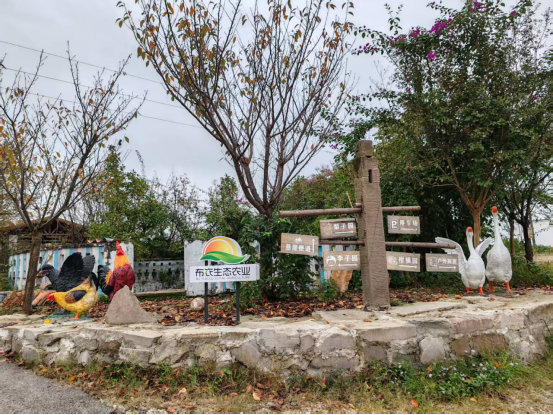一颗李子撬动乡村振兴 彭家乡绘就 “李” 想画卷