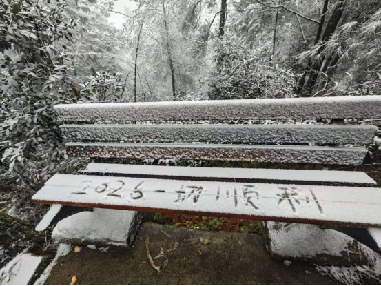 邻水县：五华山雾凇缀雪 市民踏雪寻景