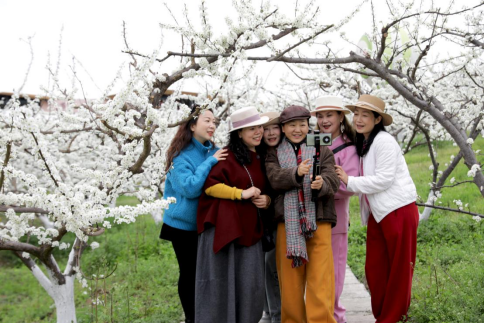 广安区龙安乡：“繁花”朵朵  激活“赏花经济”