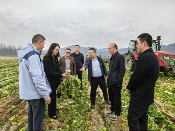 南充市：科技深耕沃土  智慧点亮乡村