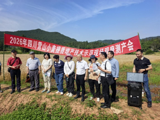科技赋能夏粮丰 实干喜迎“双节”至 ——营山县举办小麦提质增产 技术培训会