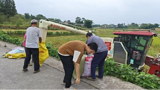 武胜县：稻浪飘香满真静 夏收会战正酣时